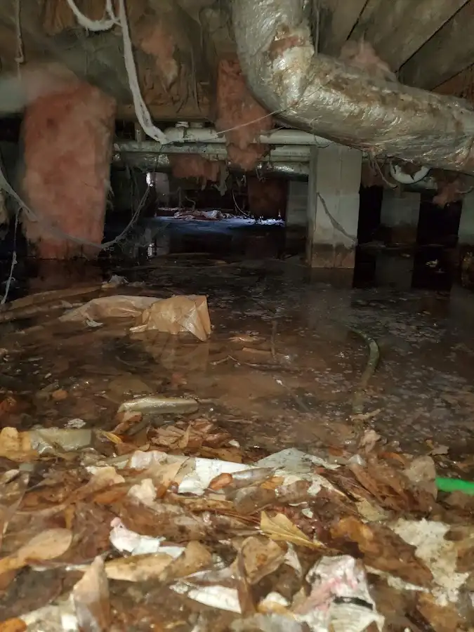 Crawl space flood assessment for Leak Detection & Repair in Burbank