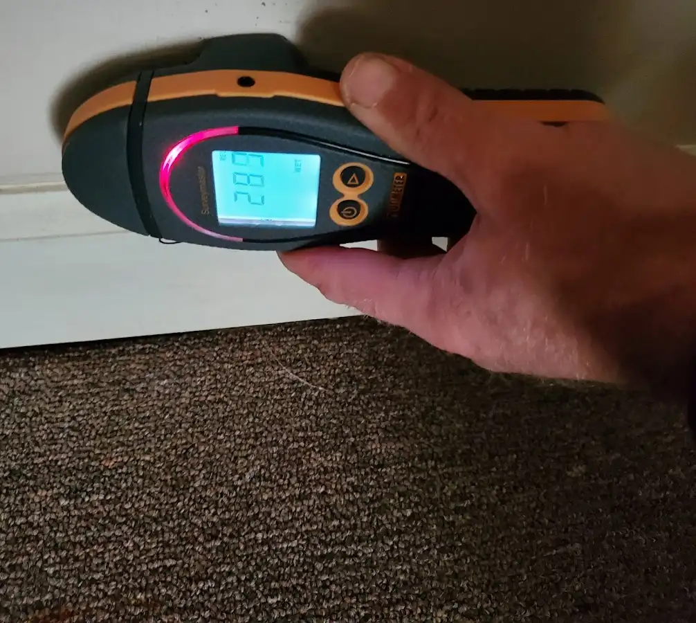 Moisture detection at baseboard during Sewage Cleanup & Sanitation in Burbank